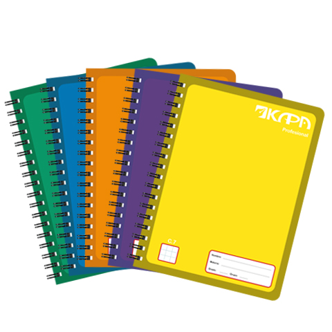 Cuaderno profesional kapa doble espiral 100H